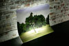 a transparent image of trees suspended and leaning against a brick wall and lit from behind