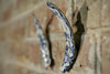 sculpture on a brick wall created by two fragments of blue and white plate as if small wings